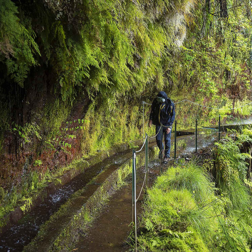 Levada do Rei - Ribeiro Bonito