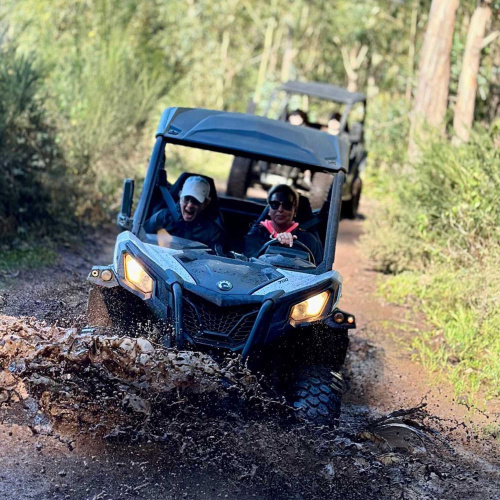 Buggy Tour