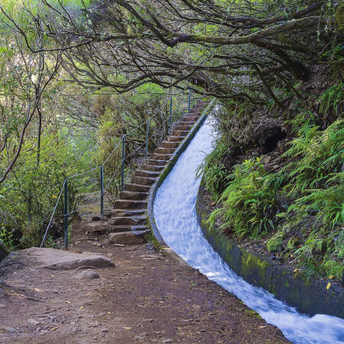 Levada do Alecrim - Rosemary Levada