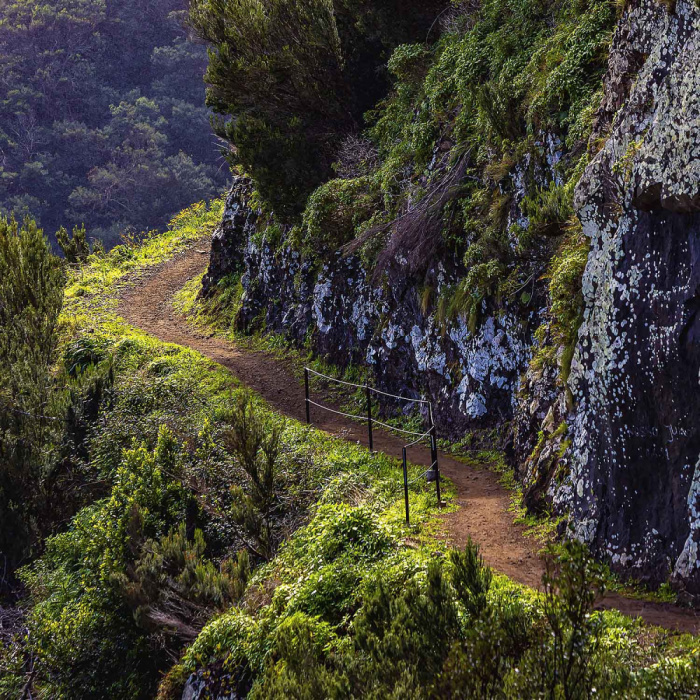 Rota do Norte - Vereda do Larano