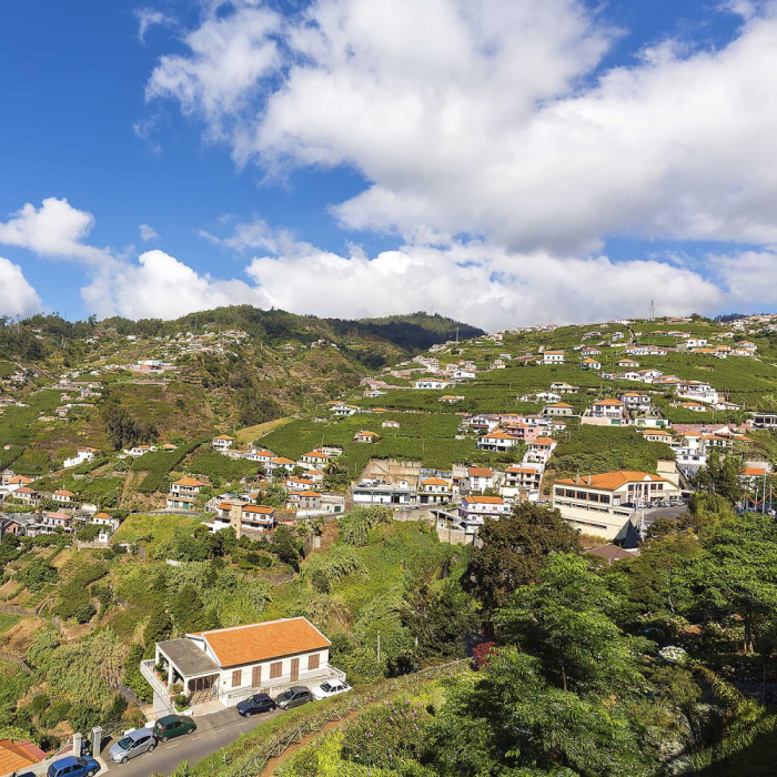 Rota do Vinho - Levada do Estreito