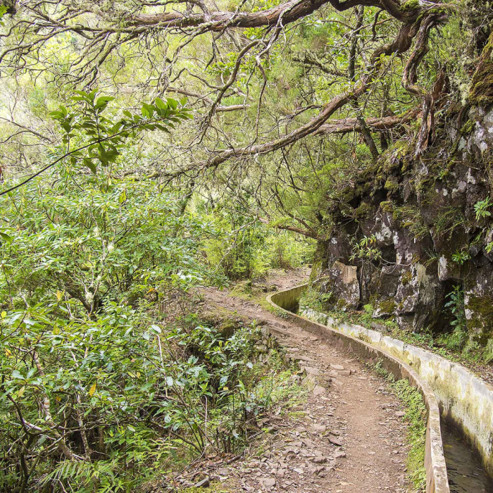 Ribeiro Frio - Portela