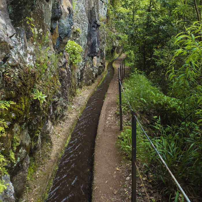 Levada do Rei - Ribeiro Bonito