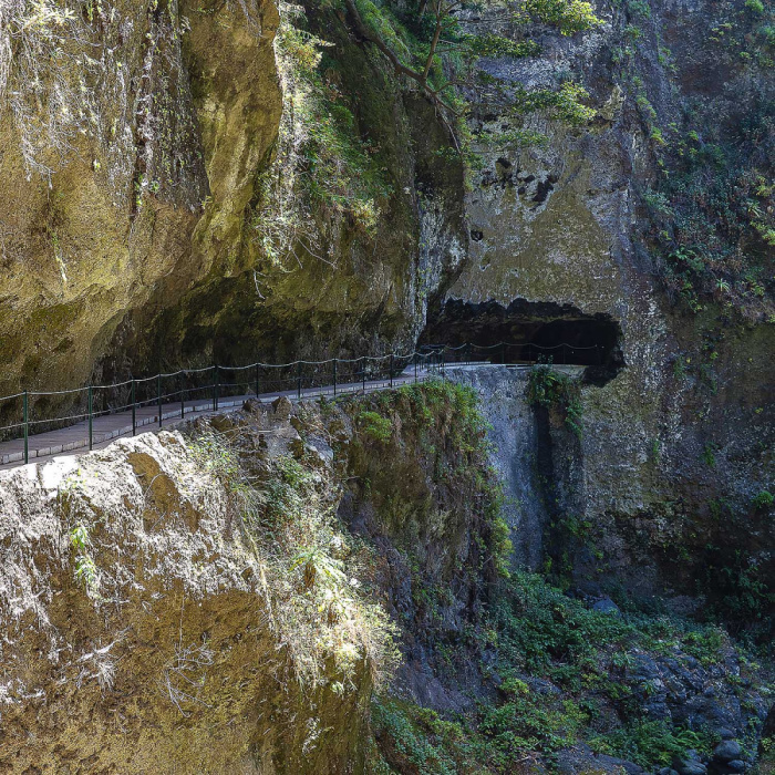 Sugarcane Route - Levada Nova