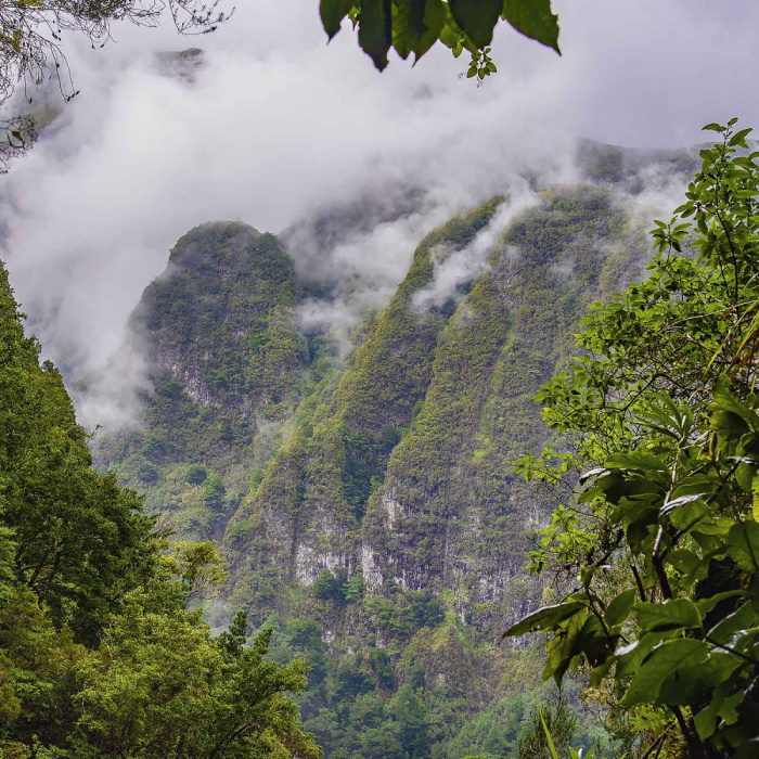 Queimadas - Caldeirão Verde