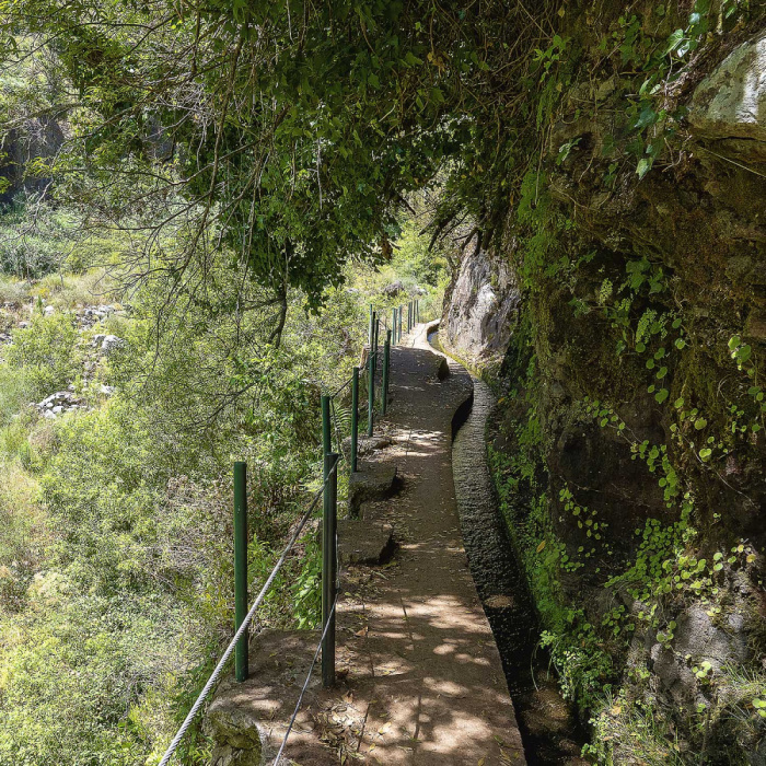 Sugarcane Route - Levada Nova