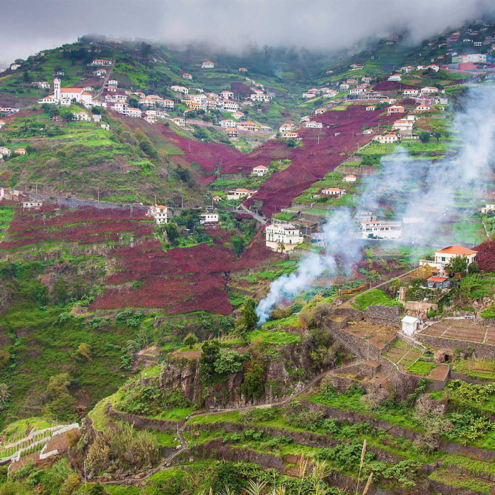 Rota do Vinho - Levada do Estreito