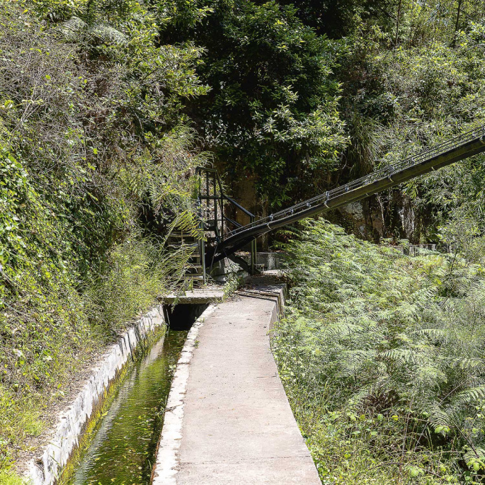 Sugarcane Route - Levada Nova