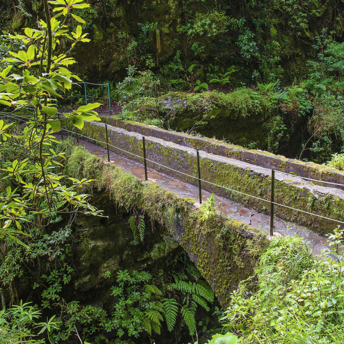 Queimadas - Caldeirão Verde