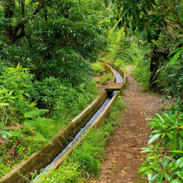 Ribeiro Frio - Portela