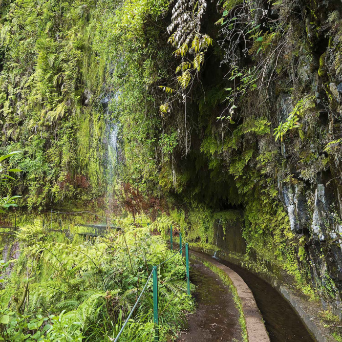 Levada do Rei - Ribeiro Bonito