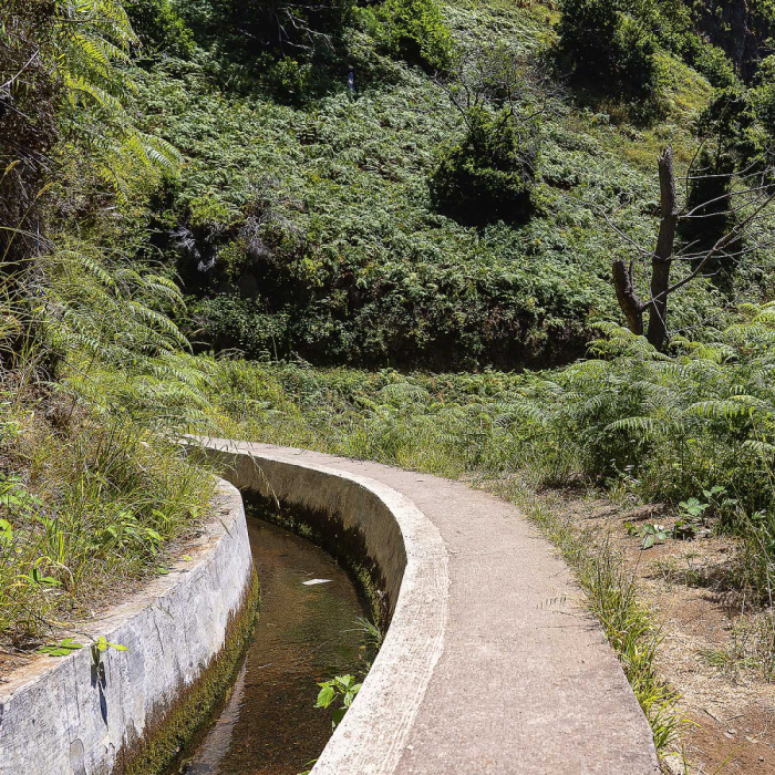 Sugarcane Route - Levada Nova