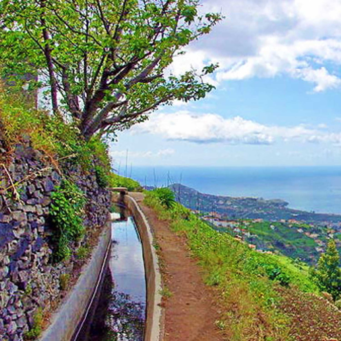 Rota do Vinho - Levada do Estreito