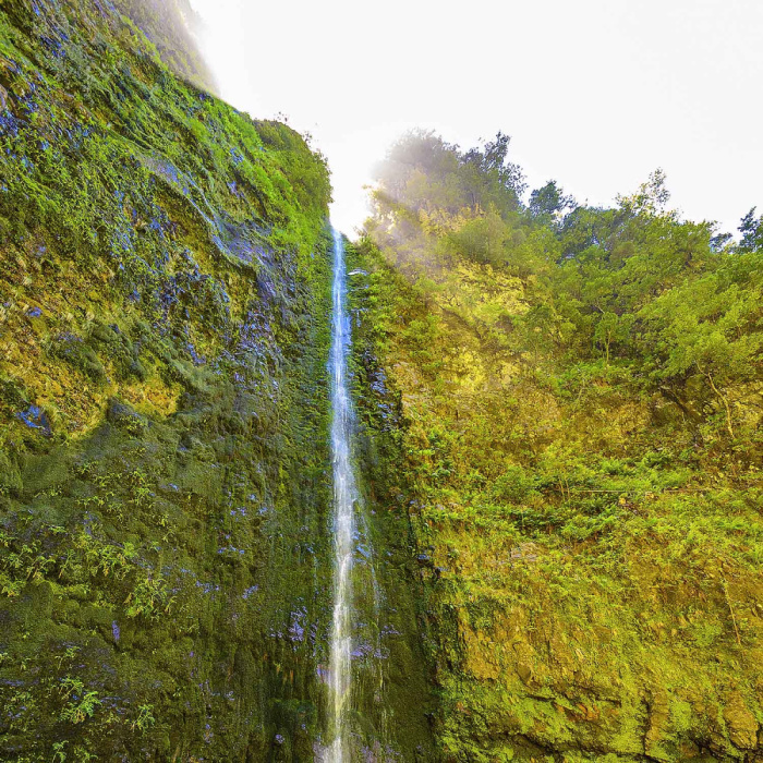 Queimadas - Caldeirão Verde