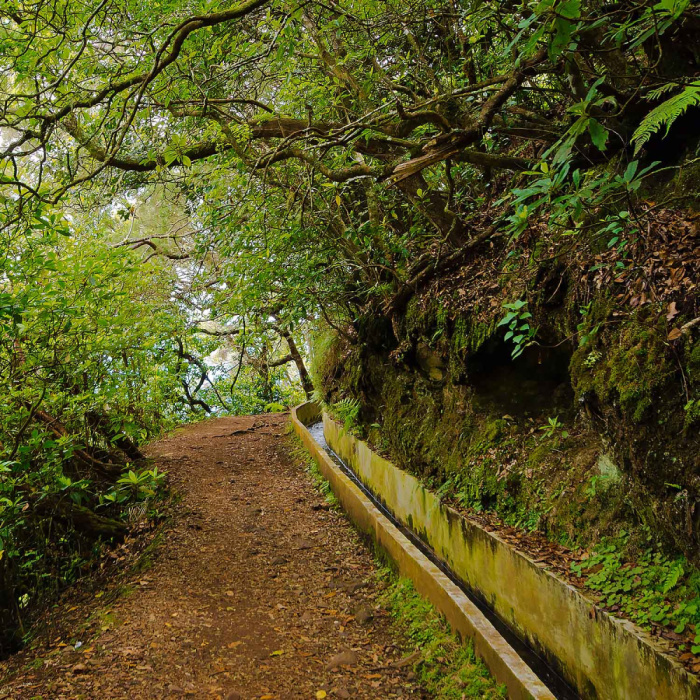 Ribeiro Frio - Portela