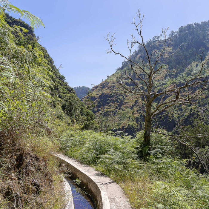 Sugarcane Route - Levada Nova