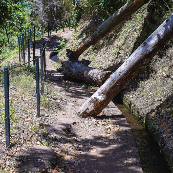 Sugarcane Route - Levada Nova