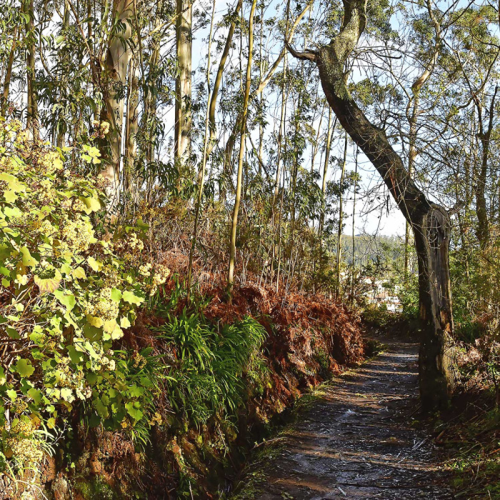 Vale do Paraíso - Rochão