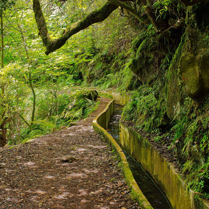 Ribeiro Frio - Portela