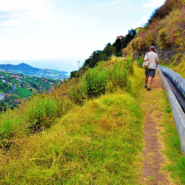 Rota do Vinho - Levada do Estreito