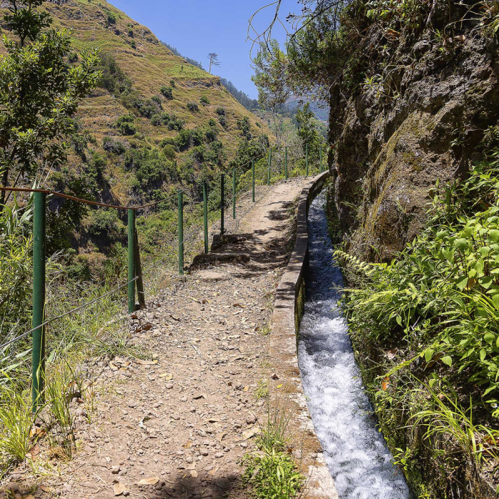 Sugarcane Route - Levada Nova