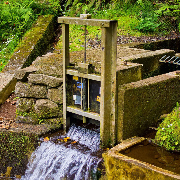 Ribeiro Frio - Portela