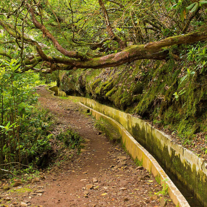 Ribeiro Frio - Portela