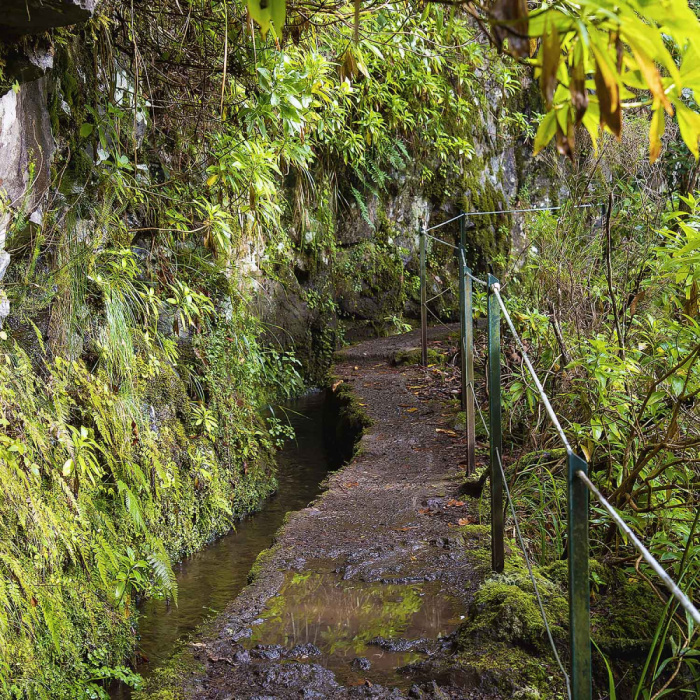 Queimadas - Caldeirão Verde