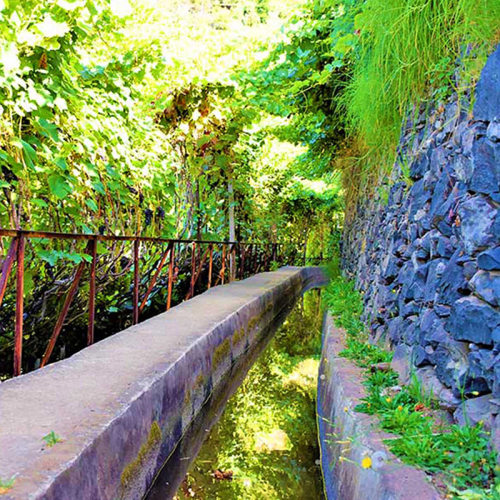 Rota do Vinho - Levada do Estreito