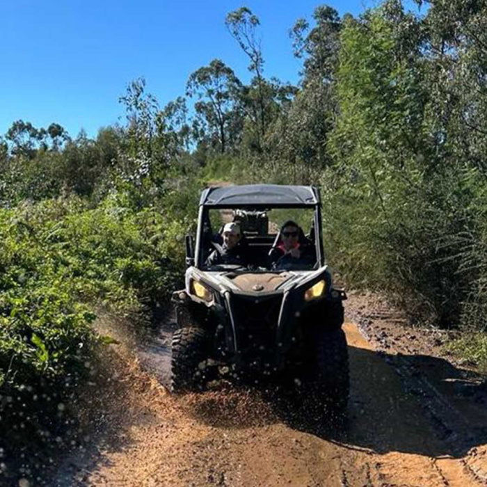 Buggy Tour