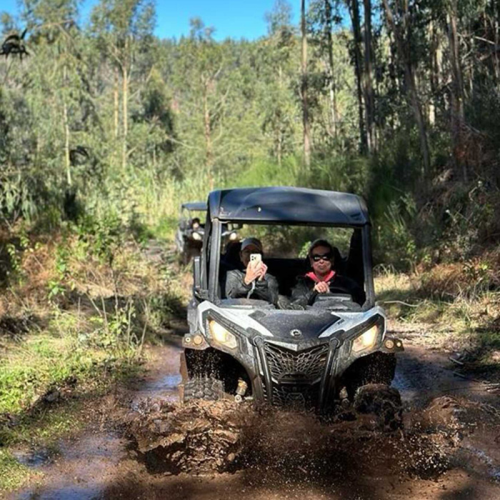 Buggy Tour