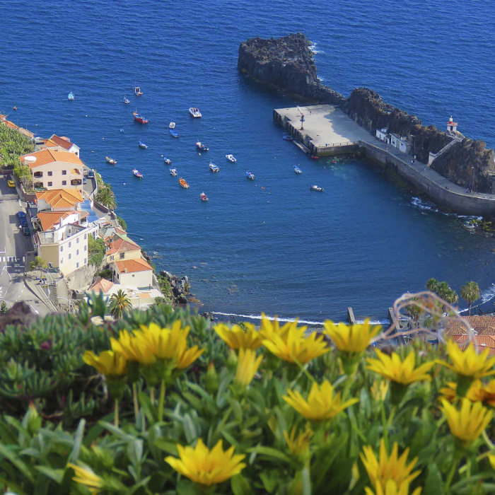 Vineyards & Colors – Cabo Girão