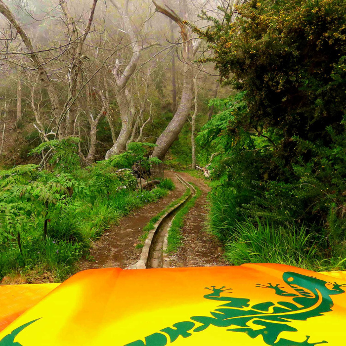 Vineyards & Colors – Cabo Girão