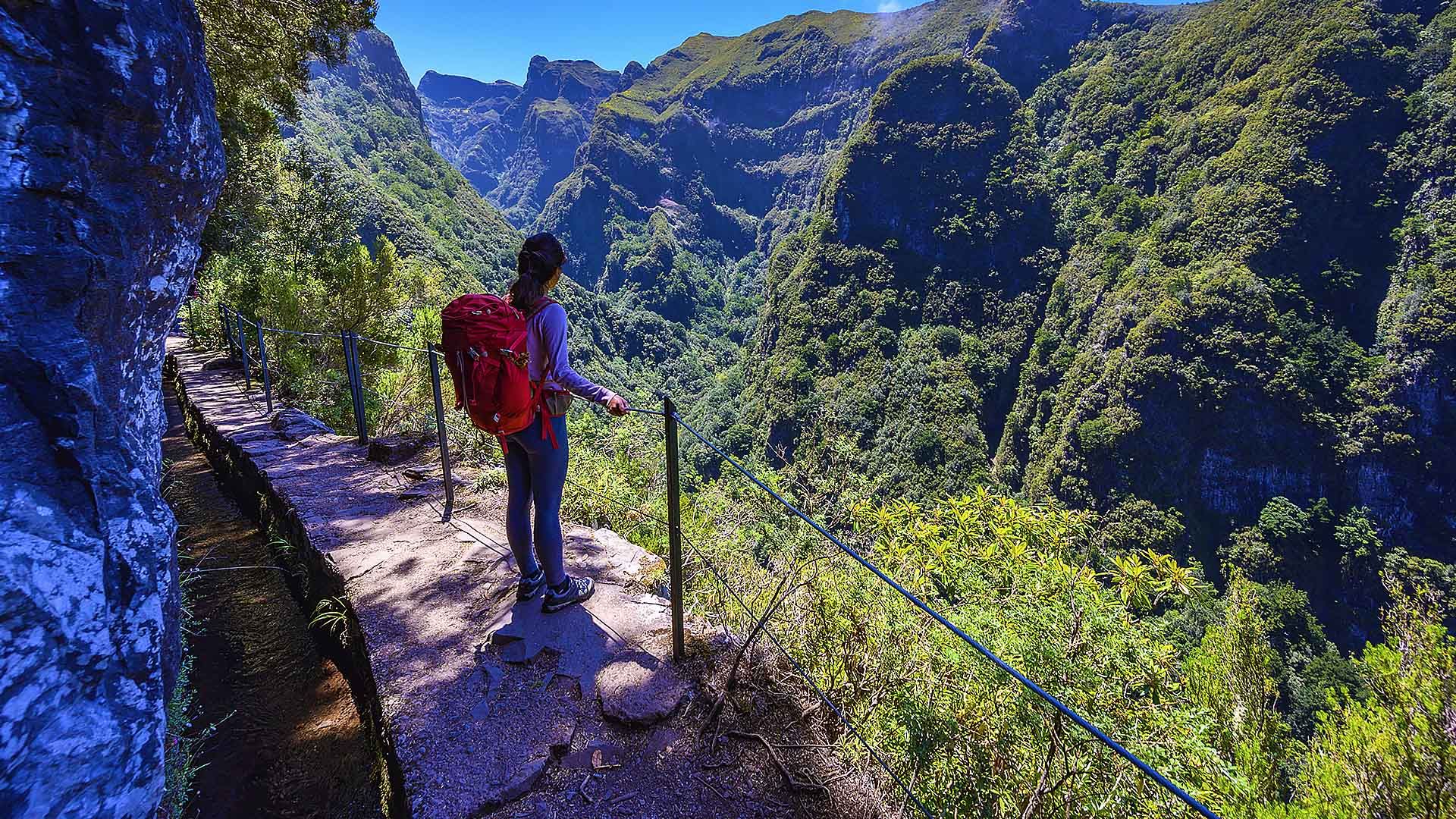 Levada Walks